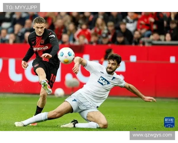 从草根到德甲劲旅霍芬海姆1899俱乐部崛起之路与未来展望