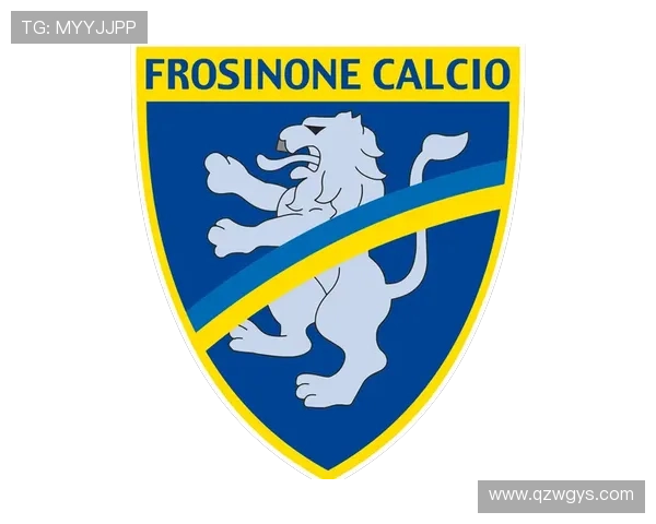 弗罗西诺内俱乐部崛起之路与城市足球精神长期传承探索发展史